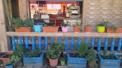 a bunch of plants in pots on a fence at Gite Rahhaoui Simo in Kasba des Aït Moussa