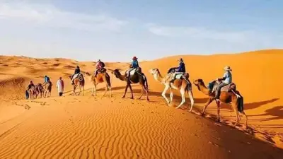 a group of people riding camels in the desert at Desert night Camp in Merzouga