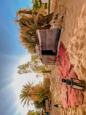 a building with palm trees on the side of it at Oasis Desert Camp Obira in Merzouga