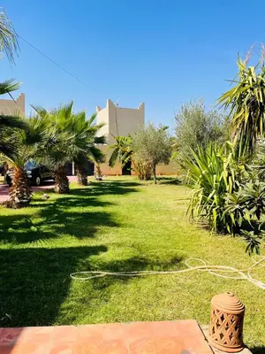 a lawn with palm trees in front of a building at Villa MsHolidays Victoria privatisée Marrakech in Marrakech