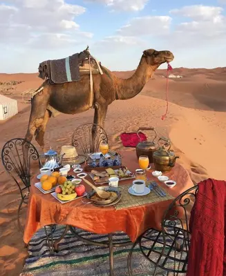 a table with a camel standing in the desert at Sahara Luxury Glamping in Merzouga