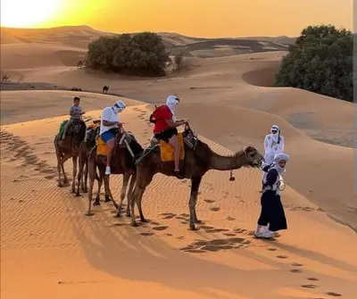 a group of people on camels in the desert at Merzouga bivouac star in Taouz