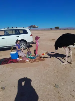 a group of people and an ostrich on the beach at Auberge chez hammadi in Zagora