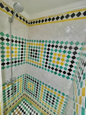 a bathroom with a shower with checkered tiles at Riad Dar Lalj Fes in Fès