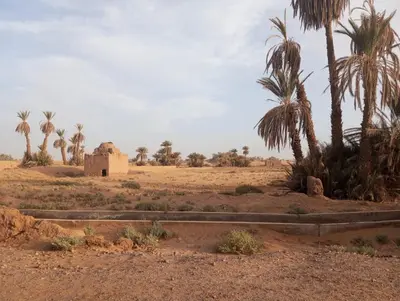 a desert with palm trees and a building in the distance at La Maison-Berbère Mhamid in Mhamid
