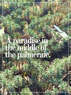 a paradise in the middle of the plantation at Riad Soleil du Monde in Zagora