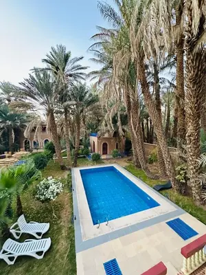 a swimming pool in a yard with palm trees at Riad Soleil du Monde in Zagora