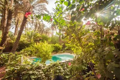 a swimming pool in a garden with trees and flowers at Riad Soleil du Monde in Zagora