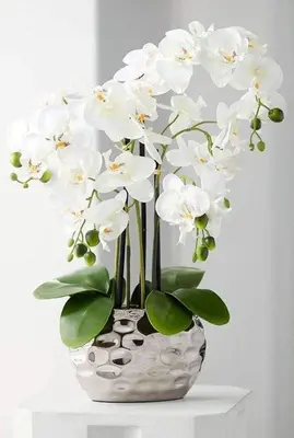 a vase with white flowers in it on a table at Dar Fes Marrakech in El Hajeb