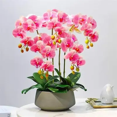 a vase filled with pink flowers on a table at Dar Fes Marrakech in El Hajeb