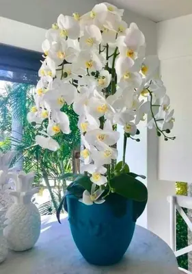 a blue vase filled with white flowers on a table at Dar Fes Marrakech in El Hajeb