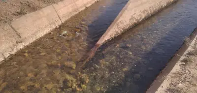 auddle of water with a rusted object in the water at Dar Fes Marrakech in El Hajeb