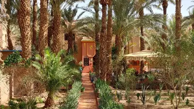 a house with palm trees in front of it at Riad le Petit Jardin in Zagora