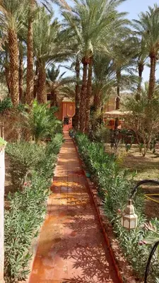 a pathway lined with palm trees and a building at Riad le Petit Jardin in Zagora