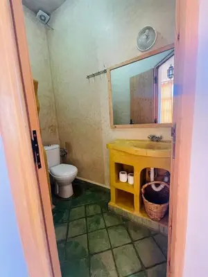 a bathroom with a sink and a toilet and a mirror at Riad Ecobio in Aït Yous