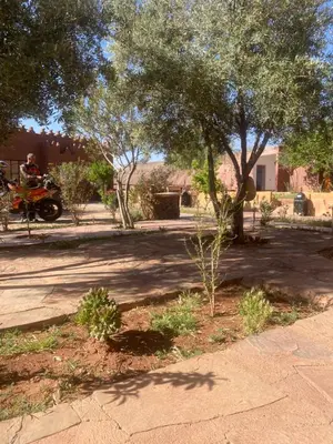 a man riding a quad bike under a tree at Riad Ecobio in Aït Yous