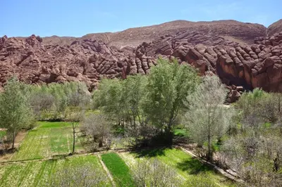 a field with trees in front of a rocky mountain at Hotel Atlas Gorge Dades in Boumalne