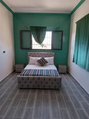 a bedroom with a large bed with green walls at Appartement Hassilabiad-Erg Chebbi in Hassilabied
