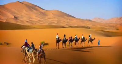 a group of people riding horses in the desert at Appartement Hassilabiad-Erg Chebbi in Hassilabied
