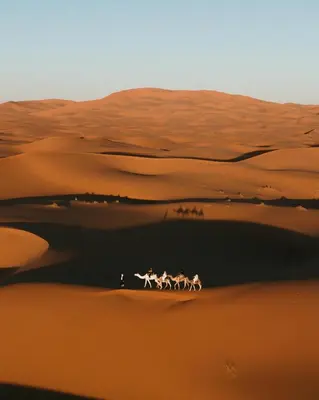 a group of people riding horses through the desert at Sahara pearl Hotel in Merzouga