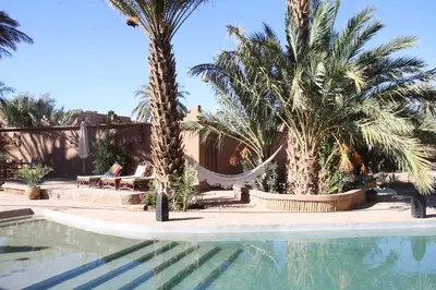 a pool with palm trees and a hammock in a resort at Dar Pienatcha in Zagora