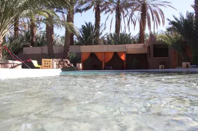 a pool of water with palm trees in the background at Dar Pienatcha in Zagora