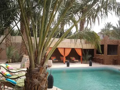 a palm tree in front of a swimming pool at Dar Pienatcha in Zagora