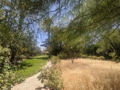 a path through a park with trees and grass at L'Ma Lodge in Skoura