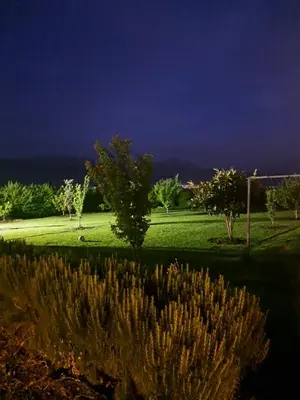 a field of grass with trees and a soccer ball at Villa Deluxe Au Pied de l'Atlas Béni Mellal in Ksar et Tlatia