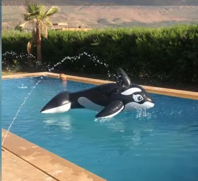 a inflatable penguin in a swimming pool at Villa Deluxe Au Pied de l'Atlas Béni Mellal in Ksar et Tlatia