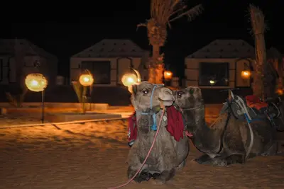 twoadiuts sitting in the sand at night at The Luxury ERG Safari Camp in Merzouga