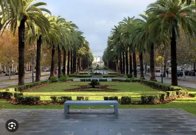 a bench in the middle of a park with palm trees at Appartement centre-ville avec Wifi 100 Mo in Fès