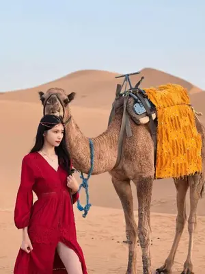 Gallery image of Sahara Dream luxury Camp in Merzouga