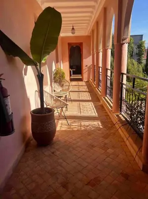 a potted plant in a pot on a patio at Les jardins d’ailleurs in Marrakech