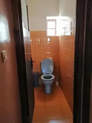 a bathroom with a toilet in a room with orange tiles at Gite chez Ali Agouti Maison Berbère in Agouti
