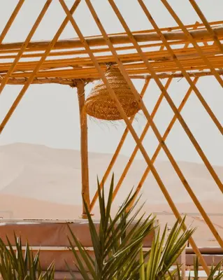 a straw hut with a plant in the foreground at Bohem Camp in Merzouga
