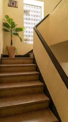 a staircase with a potted plant and a potted tree at Dar Benjelloun in Fès