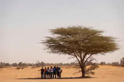 a group of people standing under a tree in the desert at Mhamid Nomad Camp in Mhamid
