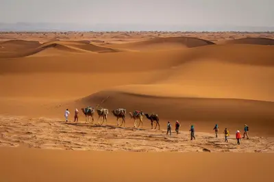 a group of people walking through the desert with their camels at Mhamid Nomad Camp in Mhamid