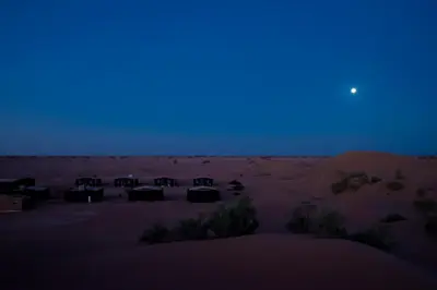 a group of cattle in the desert at night at Mhamid Nomad Camp in Mhamid