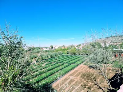 a field of crops with trees and a town in the background at Hôtel&Restaurant Villa des étoiles in Ourika