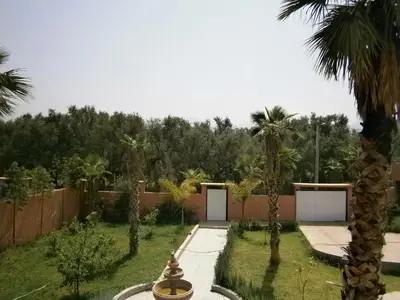 a garden with palm trees and a fence at Villa isouktan in Sbiti