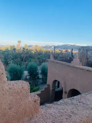 a view of a desert with palm trees and a building at Riad et Restaurant chez Alilouch in Nkob