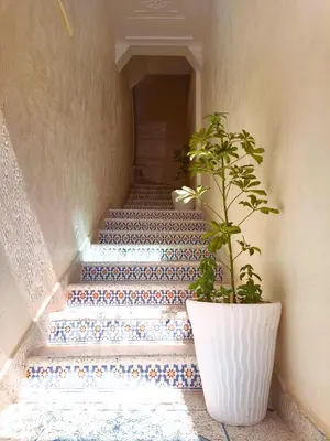 a stairwell with a potted plant and a pot at شقه معاصره ب لمسة مغربيه في فاس in Fès