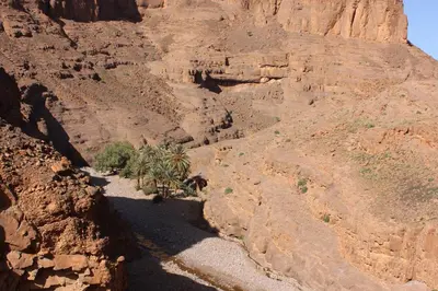 a view of a canyon with palm trees on a mountain at Kasbah Itrane in Tamnougalt