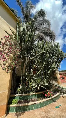 Gallery image of Riad Noumidya in Fès