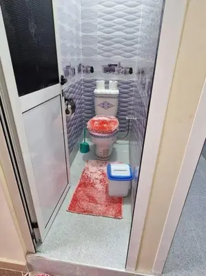 a small bathroom with a toilet and a red rug at Dar Latifa in Tinerhir