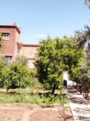 a walkway in front of a building with trees at chez l'habitant amazigh in Ouarzazate