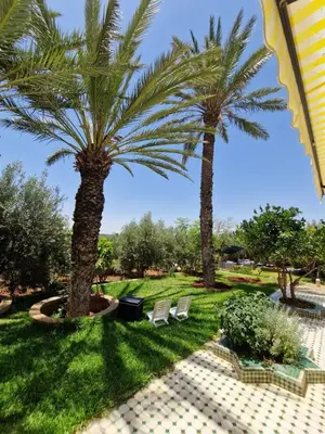 two palm trees and two chairs in a park at Villa Palmengarten Meknès bei Fes in Meknès