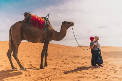a woman standing next to a camel in the desert at Aisha Luxury Camp in Merzouga